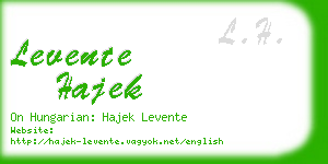 levente hajek business card